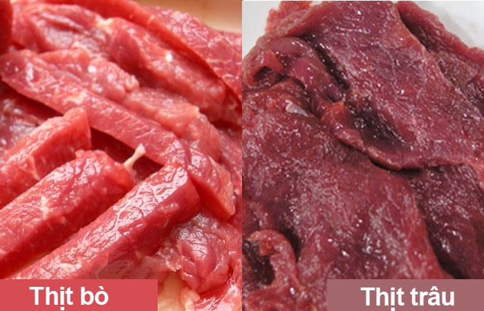 Cách phân biệt thịt bò và thịt trâu bạn nên biết